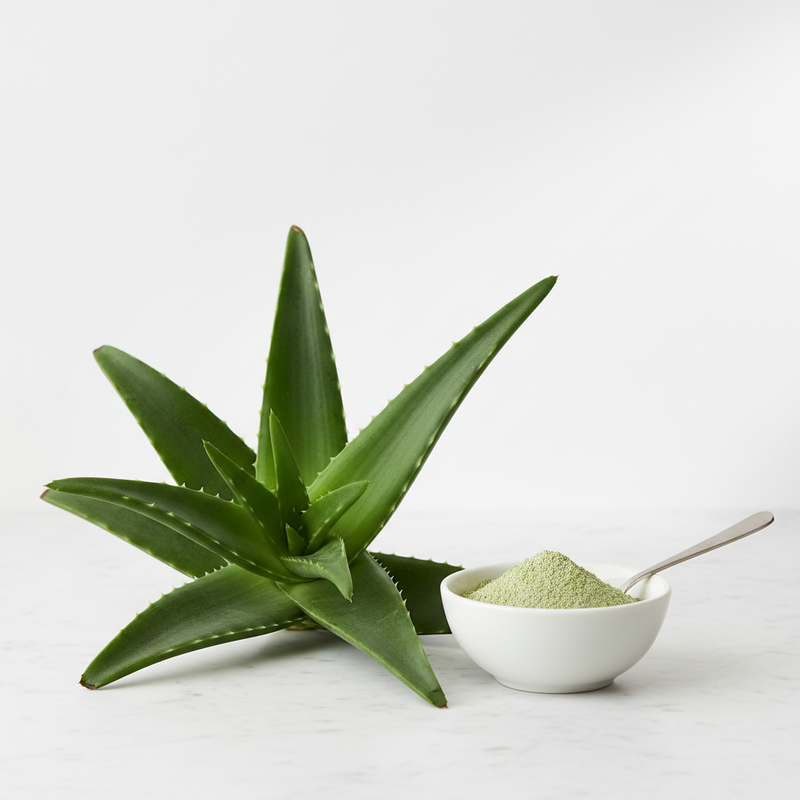 🌱 Aloe Vera Powder